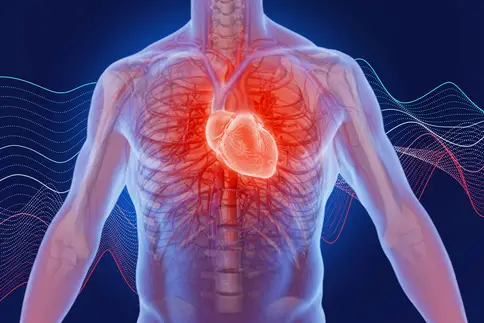 photo of heart health concept
