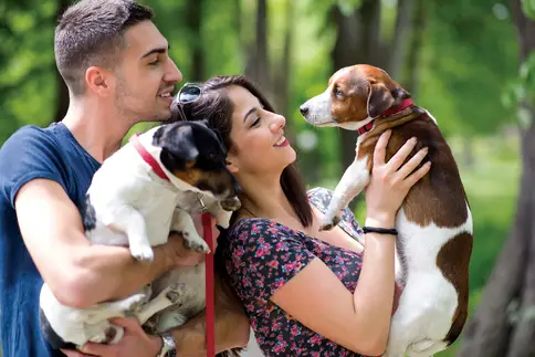 photo of young couple with dogs in park